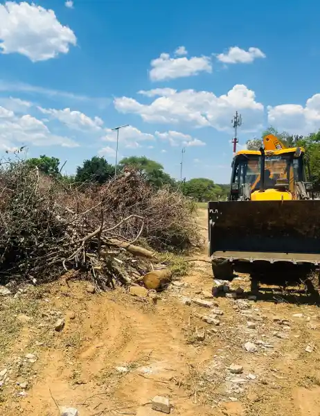 Cut vegetation stockpiled for removal after clearing