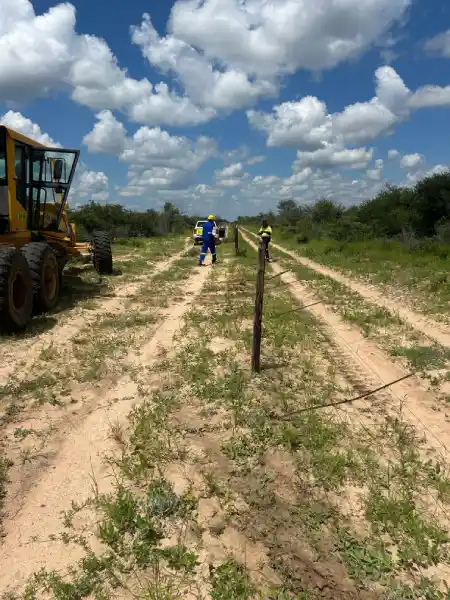 Vegetation cleared along a fence line
